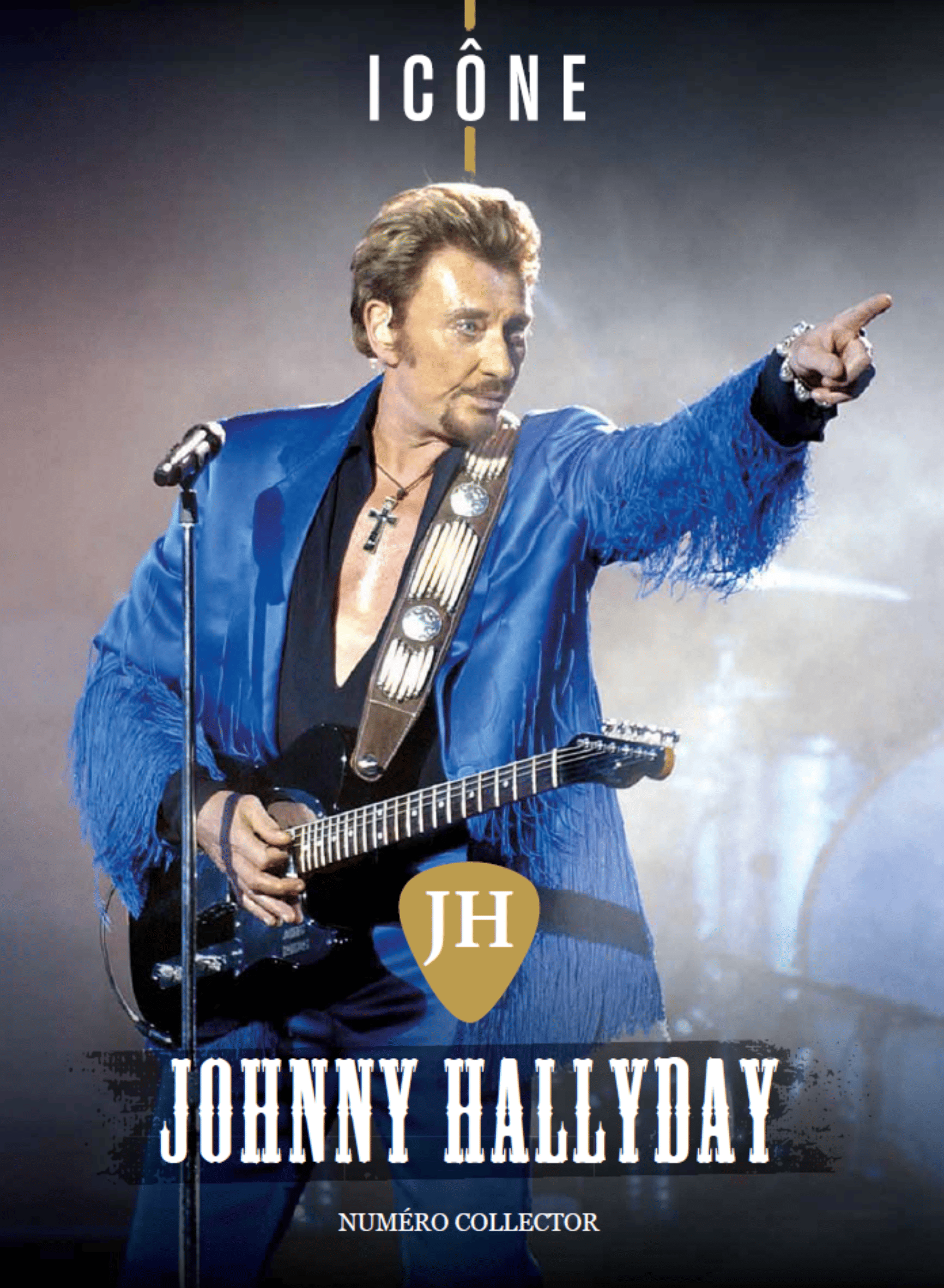 Icône n°1 Johnny Hallyday
