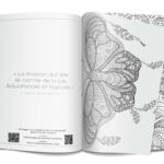 Harmonie des couleurs n°11 Harmonie des couleurs n°11