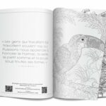 Harmonie des couleurs n°11 Harmonie des couleurs n°11