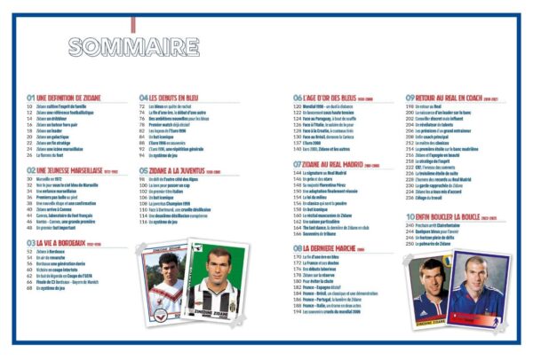 sommaire Zinedine Zidane Icône Zinédine Zidane