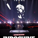 Icône Indochine