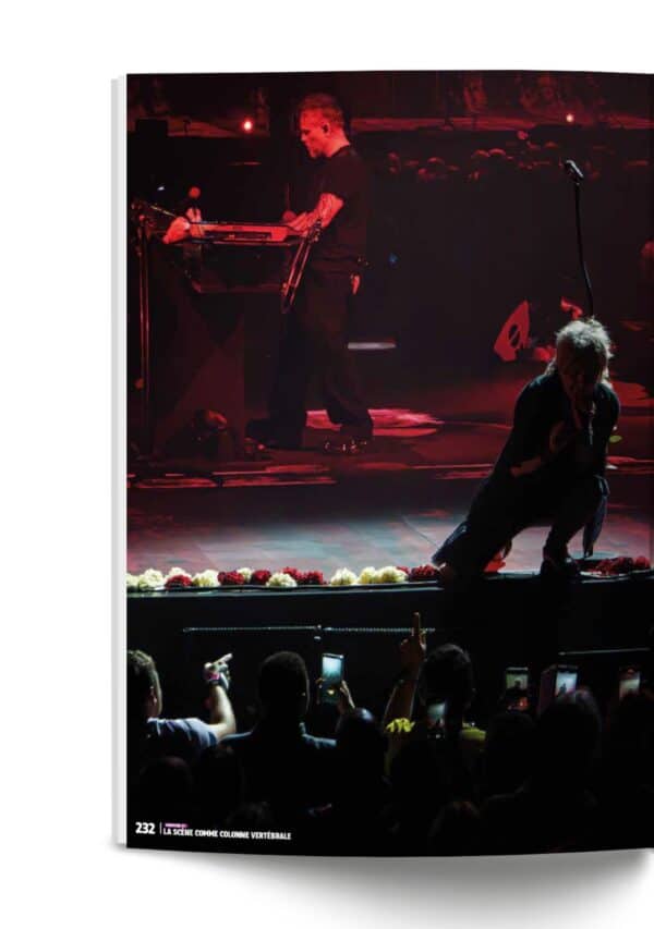 Icône Indochine Icône Indochine